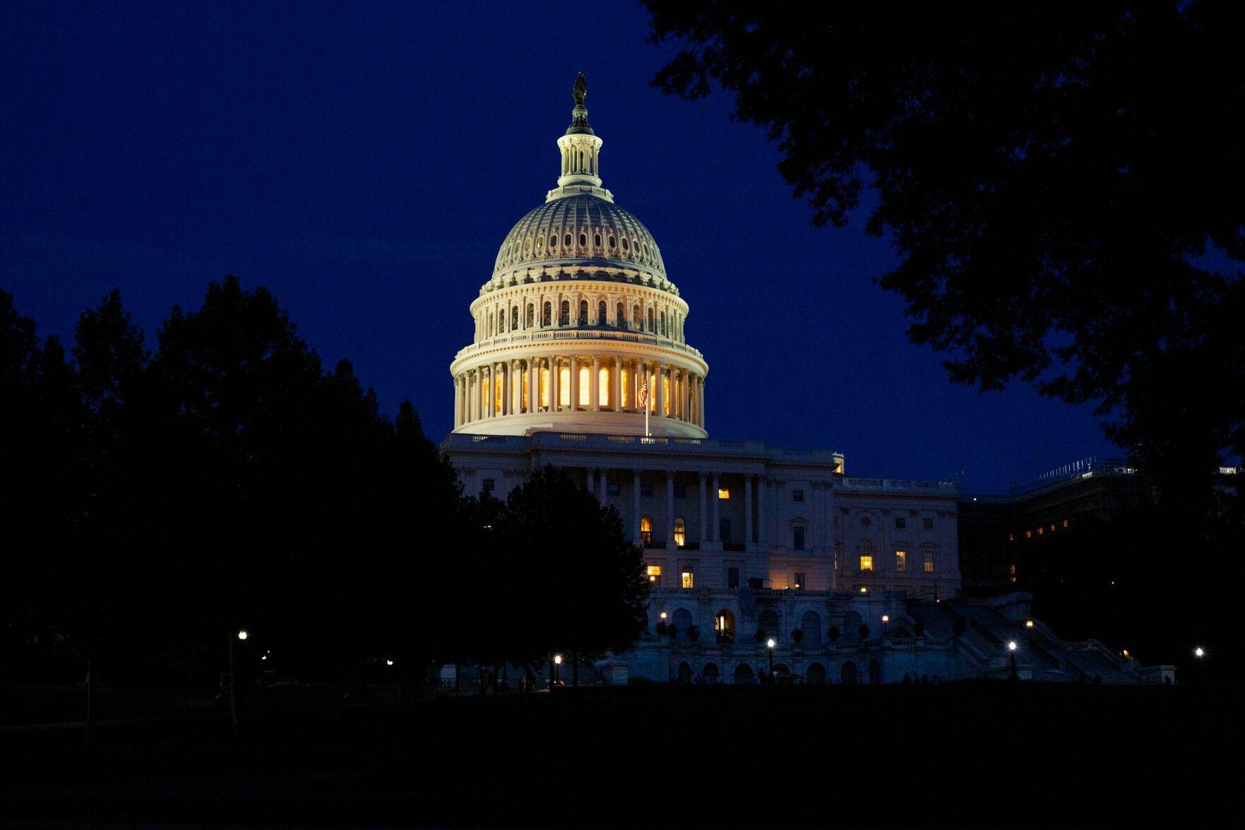 senate